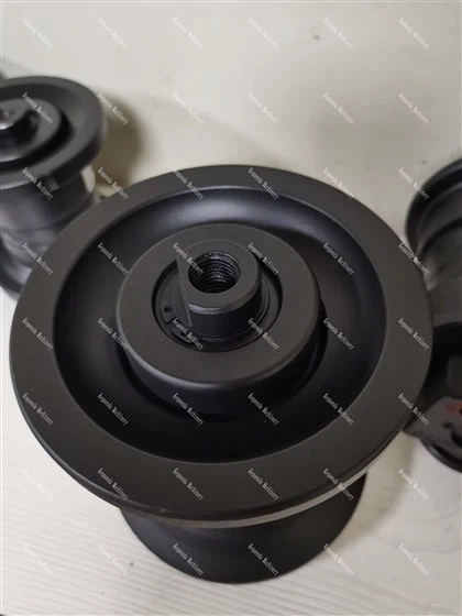 Roller de pista VIO30